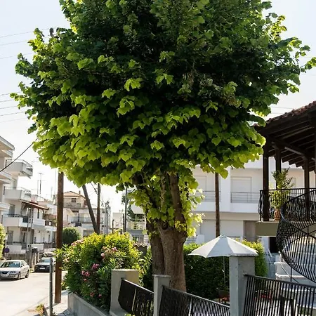 Linden Kallikratia Vilă